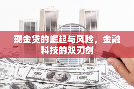 善化现金贷的崛起与风险，金融科技的双刃剑