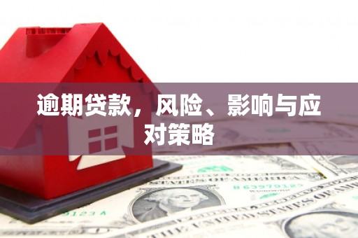 善化逾期贷款，风险、影响与应对策略