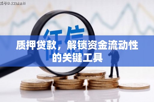 善化质押贷款，解锁资金流动性的关键工具