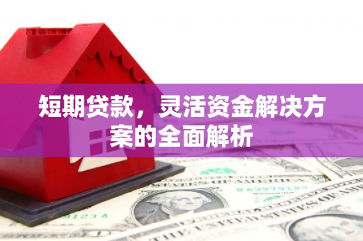 善化短期贷款，灵活资金解决方案的全面解析