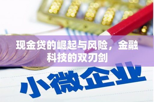 善化现金贷的崛起与风险，金融科技的双刃剑