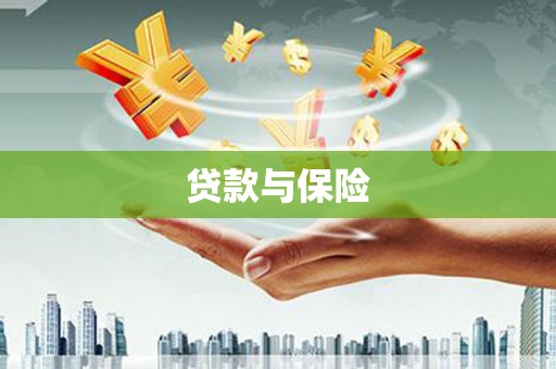 善化贷款与保险