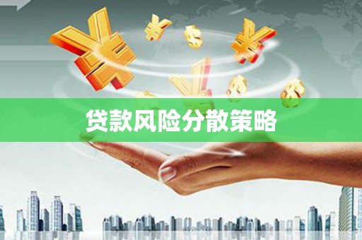善化贷款风险分散策略