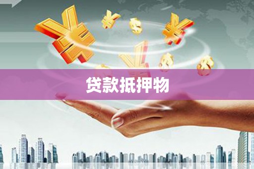 善化贷款抵押物