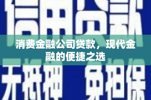 善化消费金融公司贷款，现代金融的便捷之选