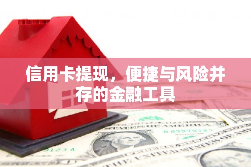 善化信用卡提现，便捷与风险并存的金融工具
