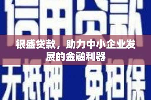 善化银盛贷款，助力中小企业发展的金融利器