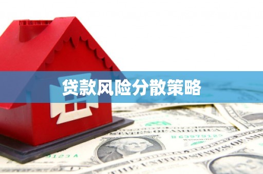 善化贷款风险分散策略