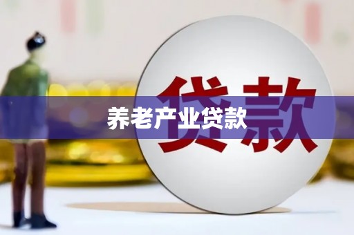 善化养老产业贷款