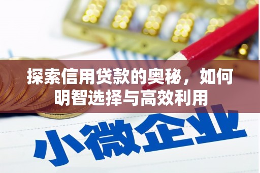 善化探索信用贷款的奥秘，如何明智选择与高效利用