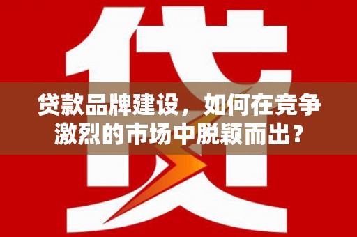 善化贷款品牌建设，如何在竞争激烈的市场中脱颖而出？