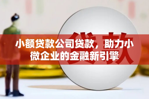 善化小额贷款公司贷款，助力小微企业的金融新引擎