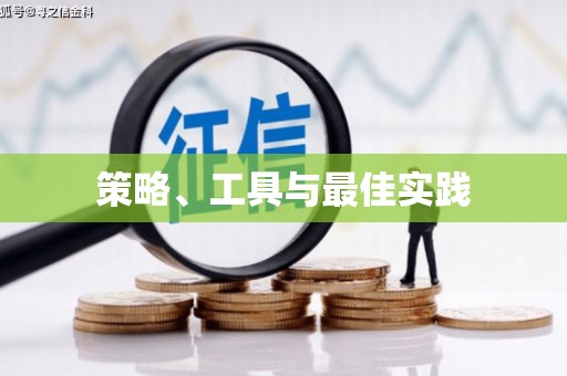善化策略、工具与最佳实践