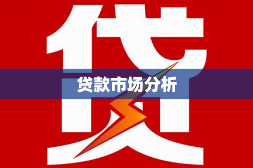 善化贷款市场分析