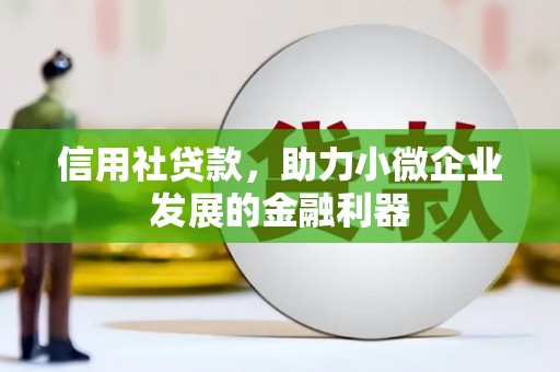 善化信用社贷款，助力小微企业发展的金融利器