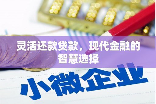 善化灵活还款贷款，现代金融的智慧选择