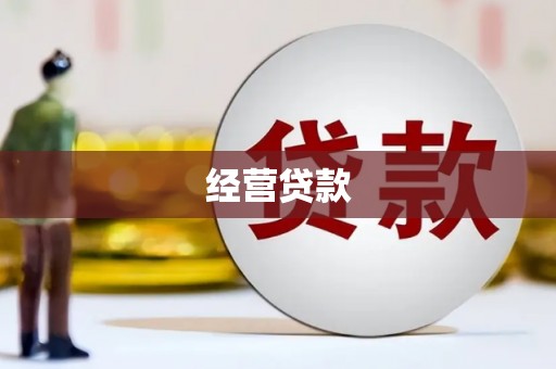 善化经营贷款
