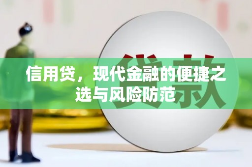 善化信用贷，现代金融的便捷之选与风险防范