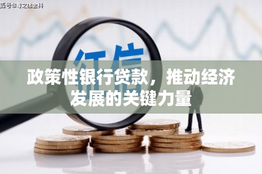 善化政策性银行贷款，推动经济发展的关键力量