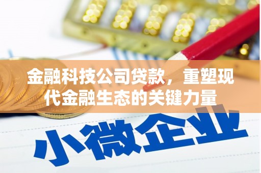 善化金融科技公司贷款，重塑现代金融生态的关键力量