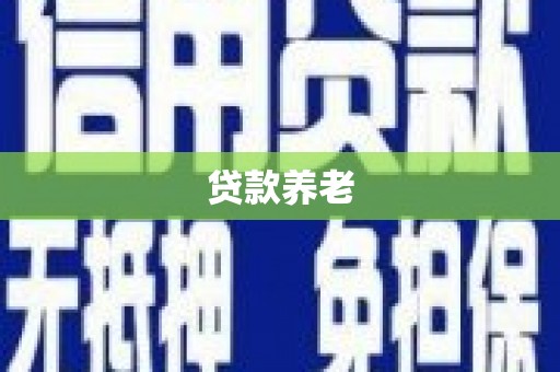 善化贷款养老
