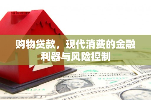 善化购物贷款，现代消费的金融利器与风险控制