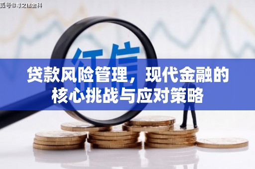 善化贷款风险管理，现代金融的核心挑战与应对策略