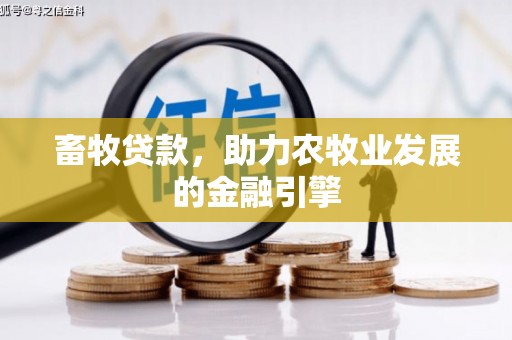 善化畜牧贷款，助力农牧业发展的金融引擎