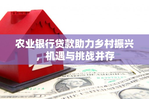善化农业银行贷款助力乡村振兴，机遇与挑战并存