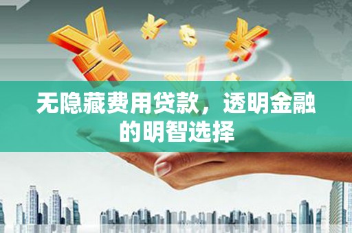 善化无隐藏费用贷款，透明金融的明智选择