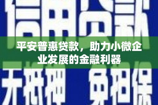 善化平安普惠贷款，助力小微企业发展的金融利器