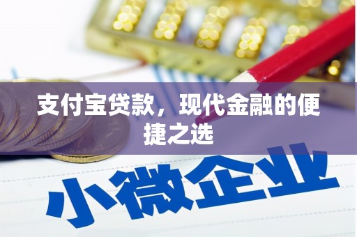 善化支付宝贷款，现代金融的便捷之选