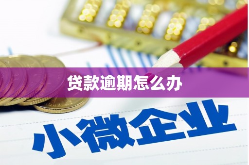善化贷款逾期怎么办