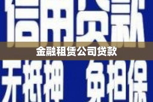 善化金融租赁公司贷款