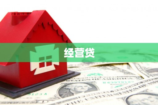 善化经营贷