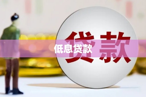 善化低息贷款