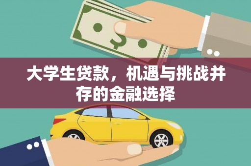 善化大学生贷款，机遇与挑战并存的金融选择