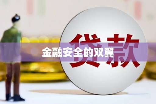 善化金融安全的双翼
