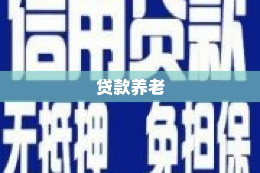 善化贷款养老