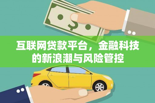 善化互联网贷款平台，金融科技的新浪潮与风险管控