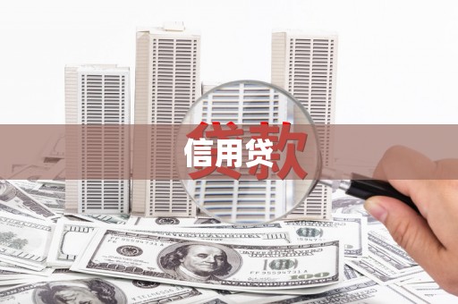 善化信用贷