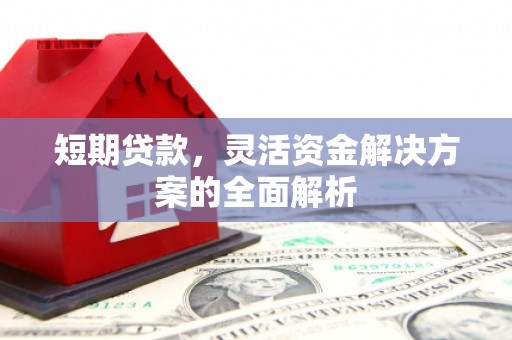 善化短期贷款，灵活资金解决方案的全面解析