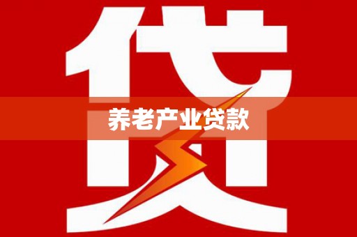 善化养老产业贷款