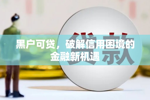 善化黑户可贷，破解信用困境的金融新机遇