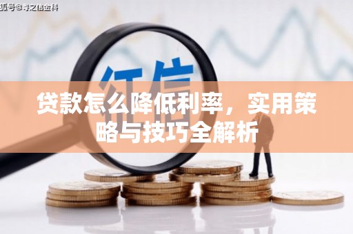善化贷款怎么降低利率，实用策略与技巧全解析