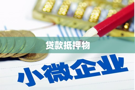善化贷款抵押物