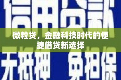 善化微粒贷，金融科技时代的便捷借贷新选择