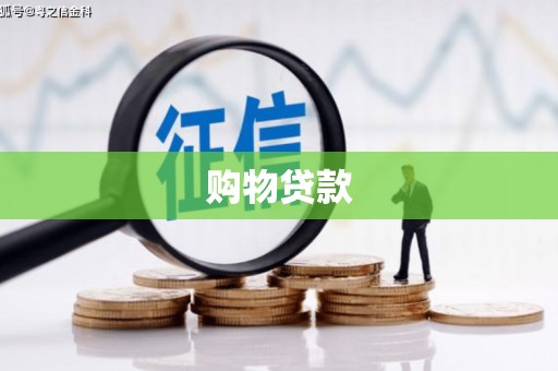 善化购物贷款