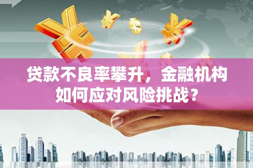 善化贷款不良率攀升，金融机构如何应对风险挑战？