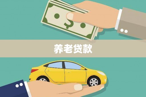 善化养老贷款